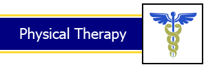Medical Staff - Physical Therapy Services